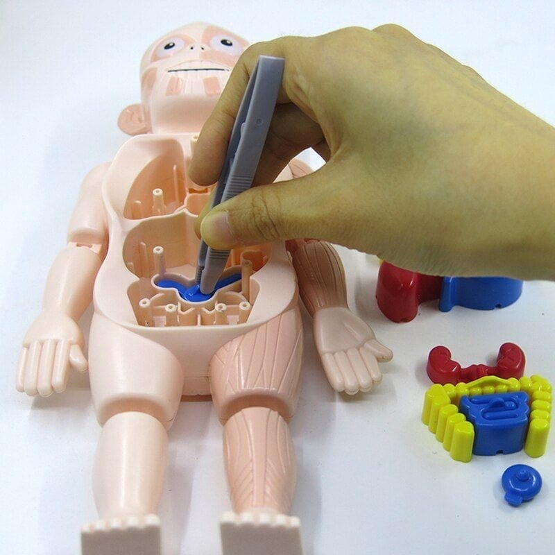 Human Toys - Brinquedo Educacional de Anatomia Humana Brinquedo - edu - 051 VF Villa Kids 